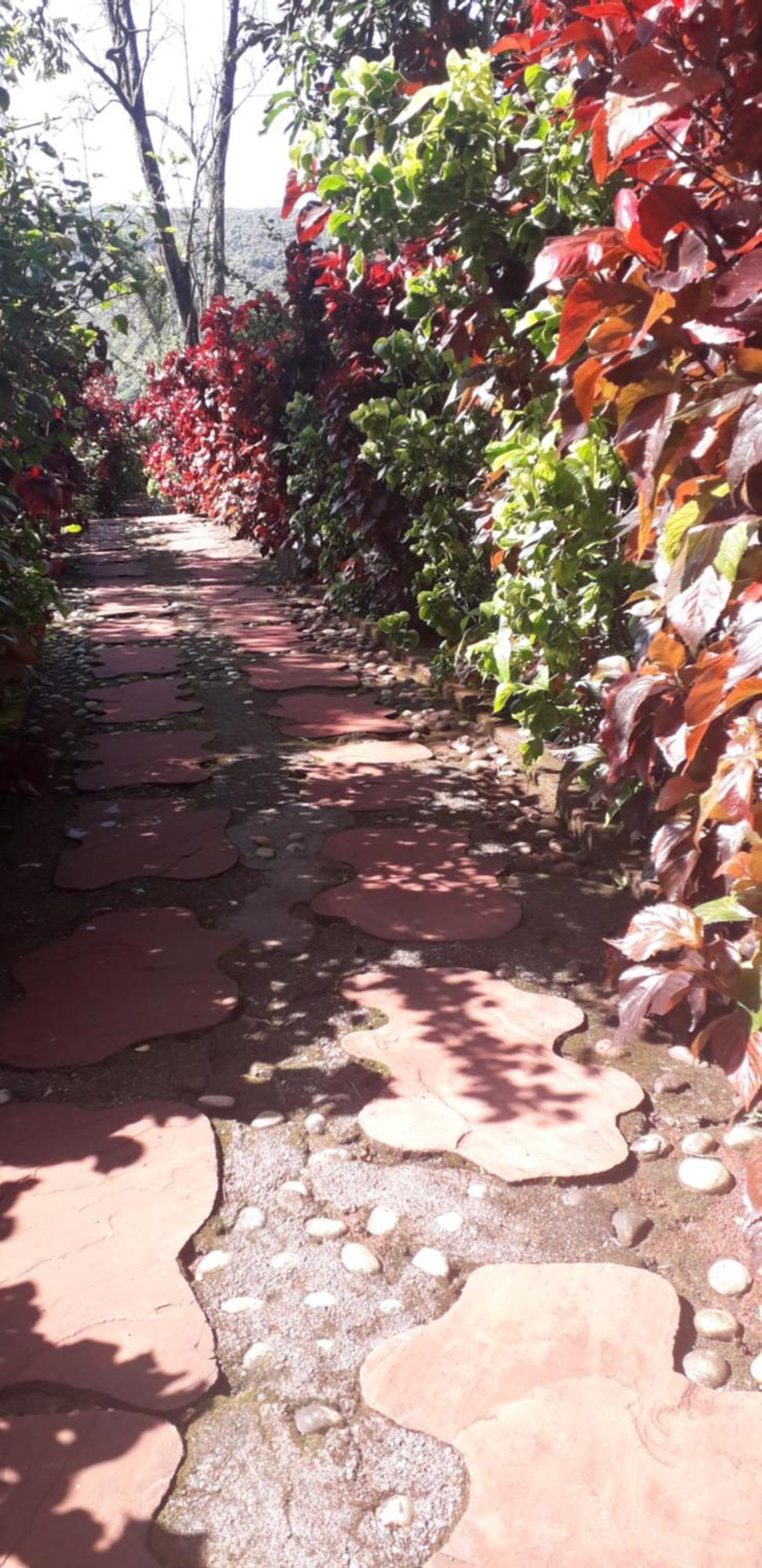 Strawberry Country Villa Mahābaleshwar Kamer foto